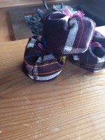 /album/%e3%83%95%e3%82%a9%e3%83%88%e3%82%ae%e3%83%a3%e3%83%a9%e3%83%aa%e3%83%bc%3a-photo/%e9%a2%a8%e6%99%af%ef%bc%91-jpg/